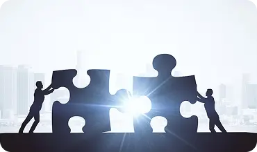 Experienced Team